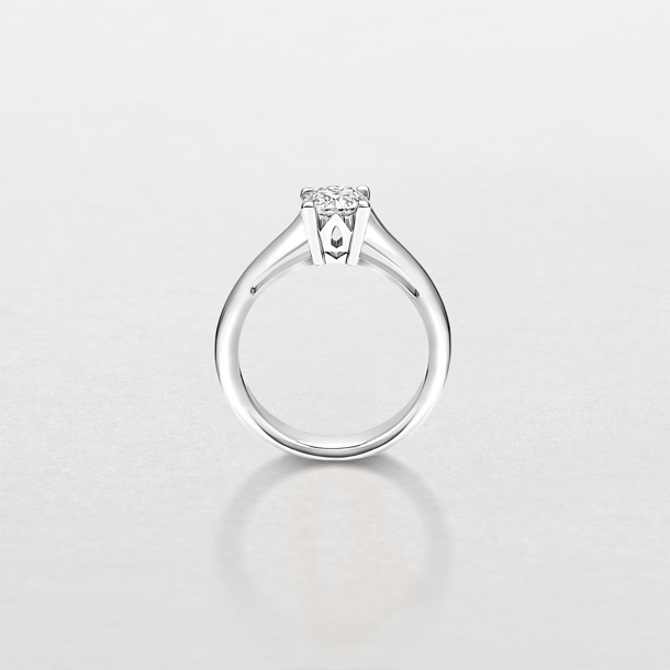 white gold and diamonds ring