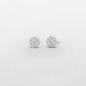 white gold and diamonds earrings