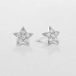 white gold and diamonds earrings